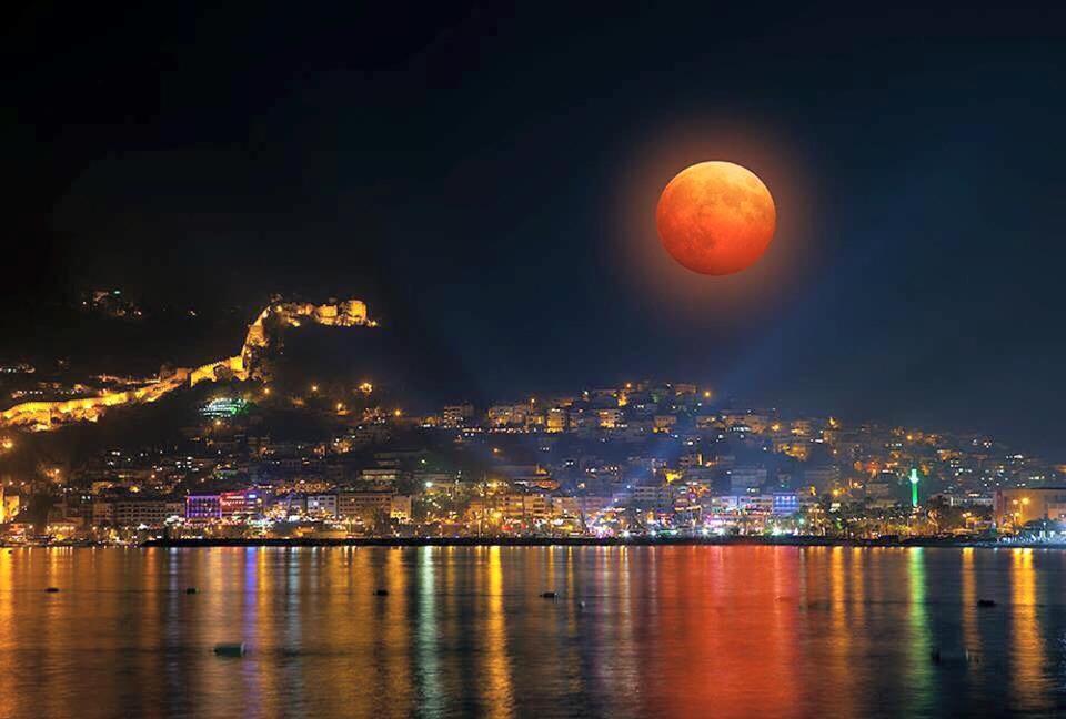 Bilkay Hotel Alanya Exterior photo